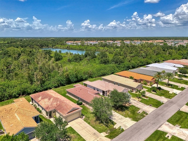 13210 SW Pembroke Cir N, Lake Suzy, FL 34269 - aerial view of a heavily wooded area and a nearby body of water