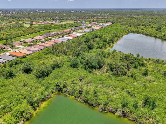 13210 SW Pembroke Cir N, Lake Suzy, FL 34269 - drone / aerial view of a forest and a nearby body of water