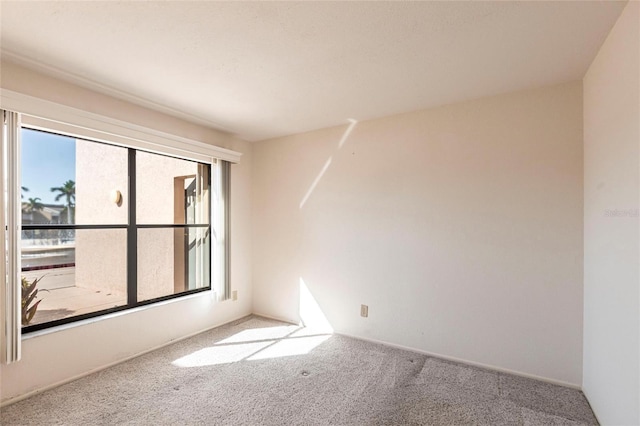 3256 White Ibis Ct Unit 24A, Punta Gorda, FL 33950 - unfurnished room with carpet flooring, healthy amount of natural light, and baseboards