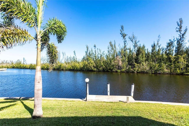 3256 White Ibis Ct Unit 24A, Punta Gorda, FL 33950 - dock area with a yard and a water view