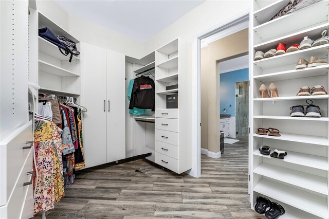 1025 Cheshire St, Port Charlotte, FL 33953 - spacious closet with wood finished floors