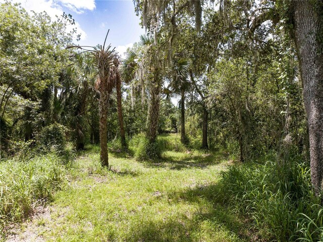 1269 NW Peace Pointe Dr, Arcadia, FL 34266 - photo 11