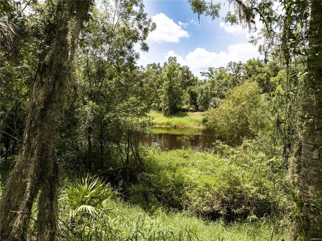 1269 NW Peace Pointe Dr, Arcadia, FL 34266 - photo 3