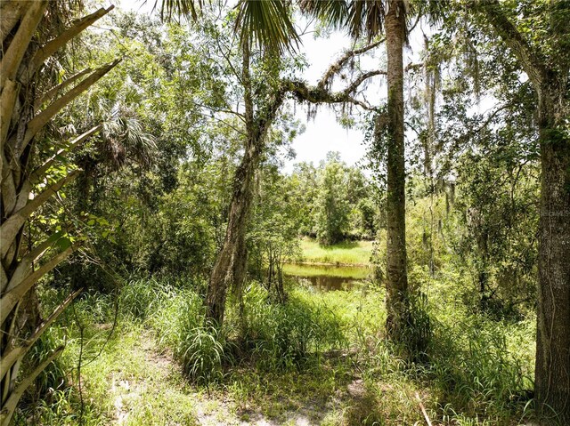 1269 NW Peace Pointe Dr, Arcadia, FL 34266 - photo 4