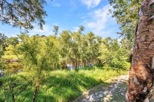 1269 NW Peace Pointe Dr, Arcadia, FL 34266 - photo 20