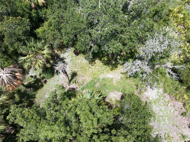1269 NW Peace Pointe Dr, Arcadia, FL 34266 - photo 12