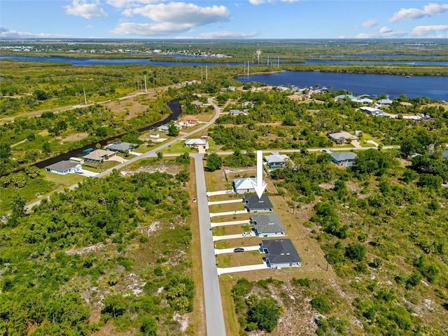 27237 Partin Dr, Punta Gorda, FL 33983 - bird's eye view of a large body of water