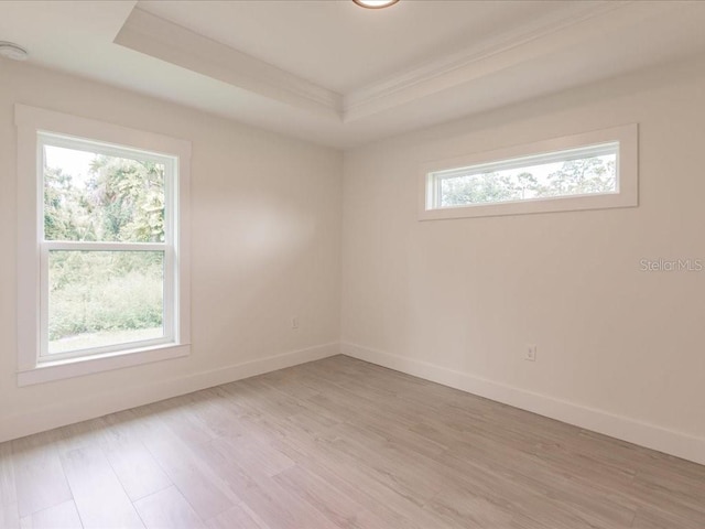 17130 Elder St, Port Charlotte, FL 33954 - unfurnished room featuring light wood finished floors, crown molding, baseboards, and a raised ceiling