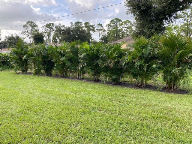 17130 Elder St, Port Charlotte, FL 33954 - view of green lawn
