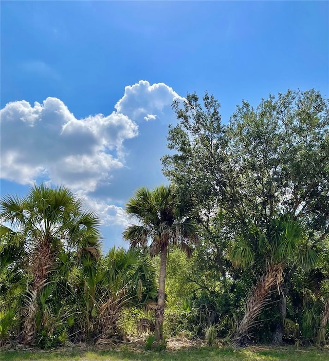 414 Ravenswood Blvd, Port Charlotte, FL 33954