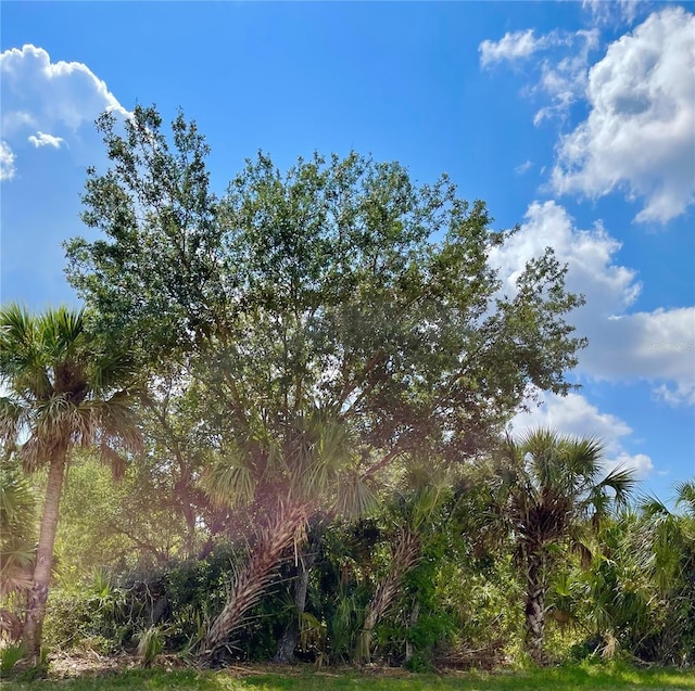 414 Ravenswood Blvd, Port Charlotte, FL 33954