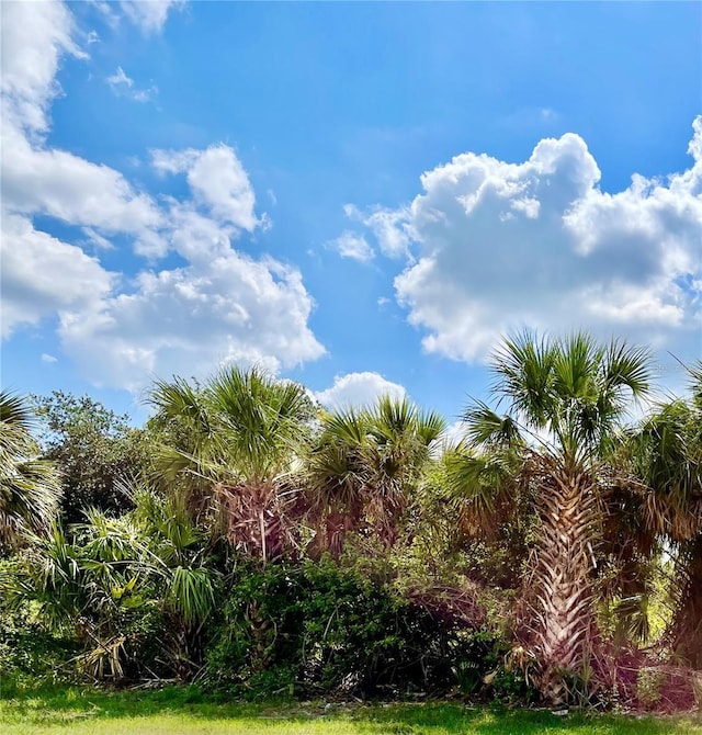 414 Ravenswood Blvd, Port Charlotte, FL 33954