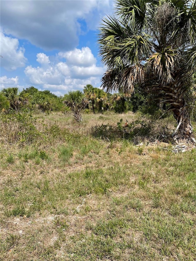 413 Celeste St, Port Charlotte, FL 33954