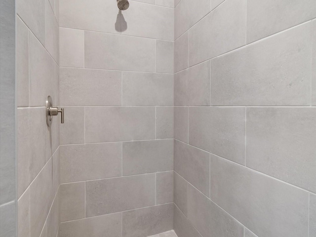223 Australian Dr, Rotonda West, FL 33947 - full bathroom with a tile shower