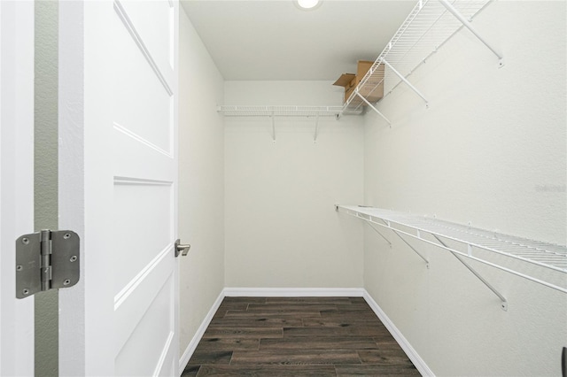 5532 Veracruz Ter, Port Charlotte, FL 33981 - spacious closet with dark wood-type flooring
