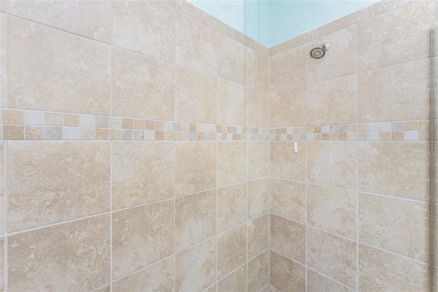 11666 Parrotfish St, Venice, FL 34292 - bathroom view of a tile shower