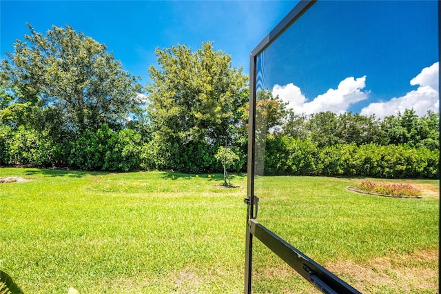 11666 Parrotfish St, Venice, FL 34292 - view of green lawn