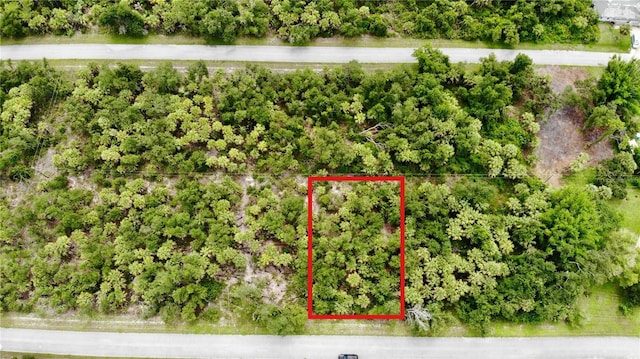 3144 Mathew St, Port Charlotte, FL 33948