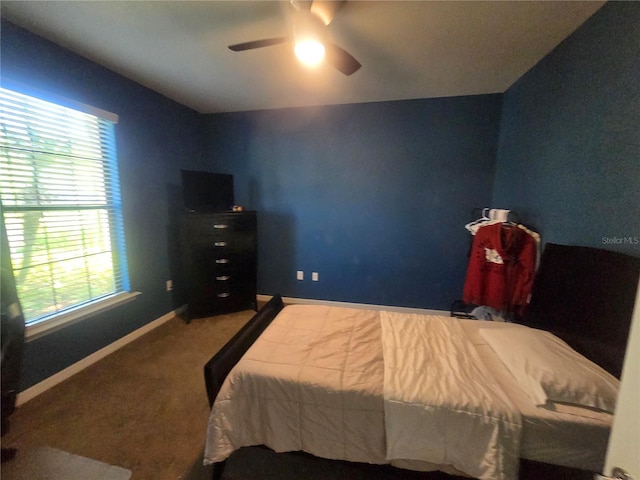 2739 Sherman Oak Dr, North Port, FL 34289 - carpeted bedroom with multiple windows, baseboards, and a ceiling fan