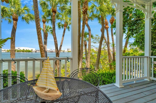 936 Hemingway Cir, Tampa, FL 33602 - photo 27
