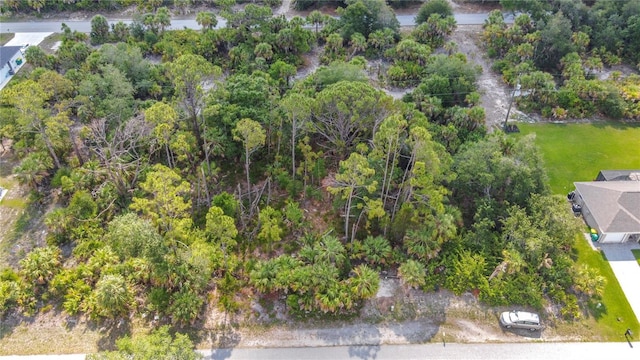 356 Lindon St, Port Charlotte, FL 33954