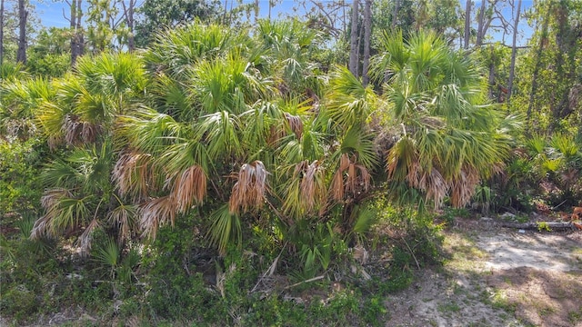 356 Lindon St, Port Charlotte, FL 33954
