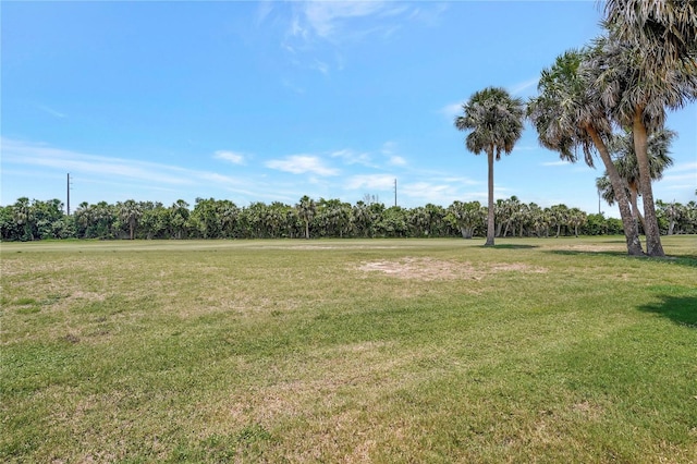 10263 Shadow Run Cir, Punta Gorda, FL 33955 - view of grassy yard featuring view of wooded area