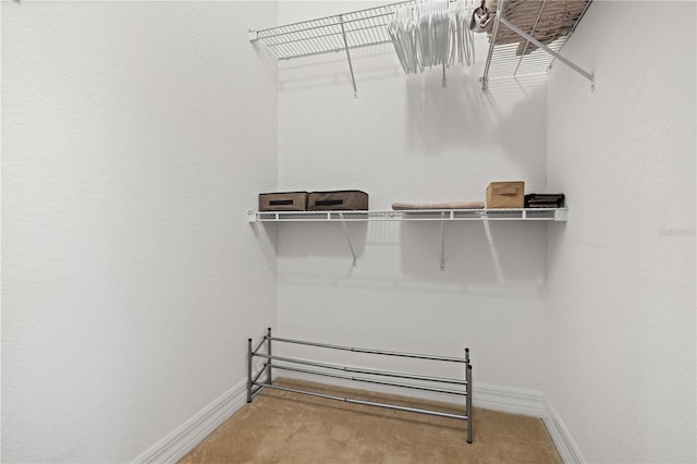 99 Vivante Blvd Unit 310, Punta Gorda, FL 33950 - walk in closet with carpet flooring