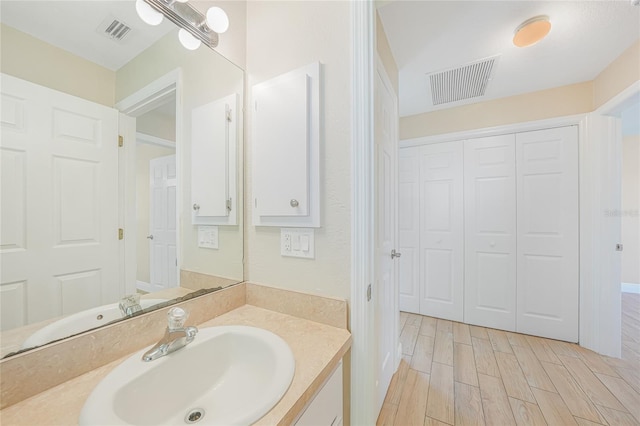 11615 SW Pine Ave, Arcadia, FL 34269 - bathroom with vanity, a closet, and wood finish floors