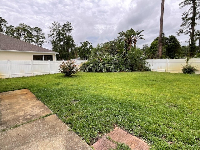 41 Brewster Ln, Palm Coast, FL 32137 - view of yard