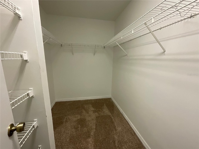 41 Brewster Ln, Palm Coast, FL 32137 - walk in closet with carpet