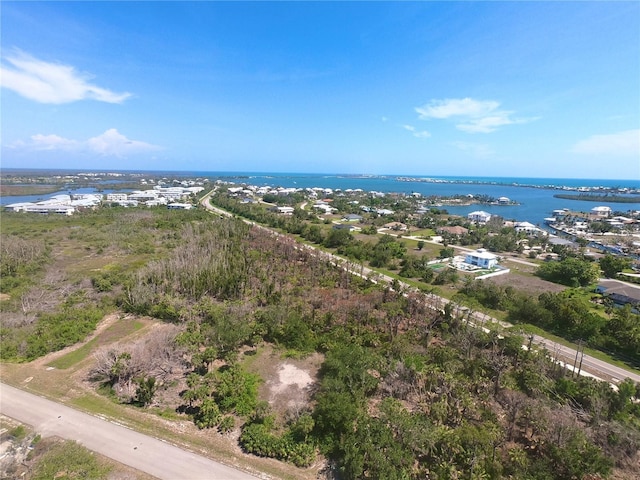 10131 Creekside Dr, Placida, FL 33946 - photo 3
