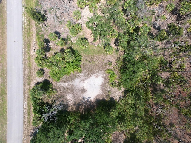 10131 Creekside Dr, Placida, FL 33946 - photo 8
