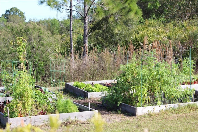 1470 Hyssop Loop, North Port, FL 34289 - view of yard featuring a garden and a view of trees