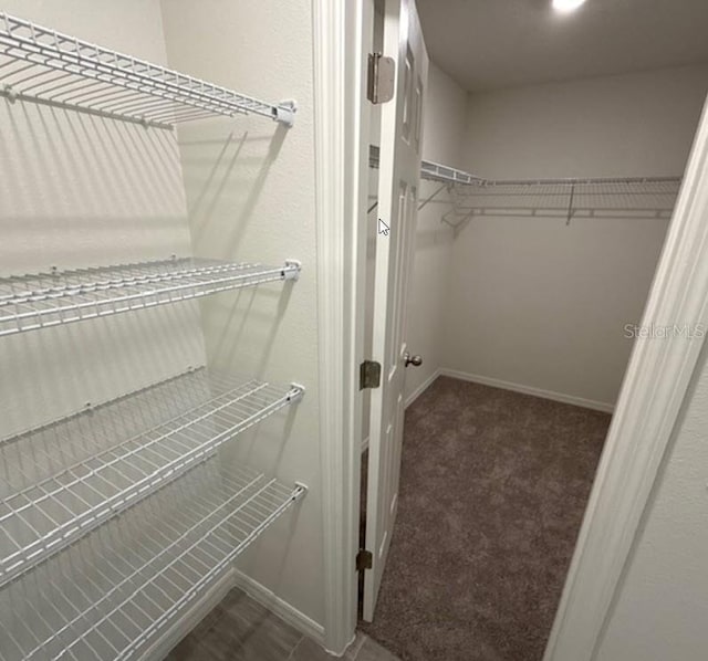 42 Peppercorn Ln, Palm Coast, FL 32164 - walk in closet featuring carpet flooring