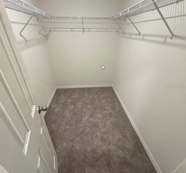 42 Peppercorn Ln, Palm Coast, FL 32164 - spacious closet with carpet