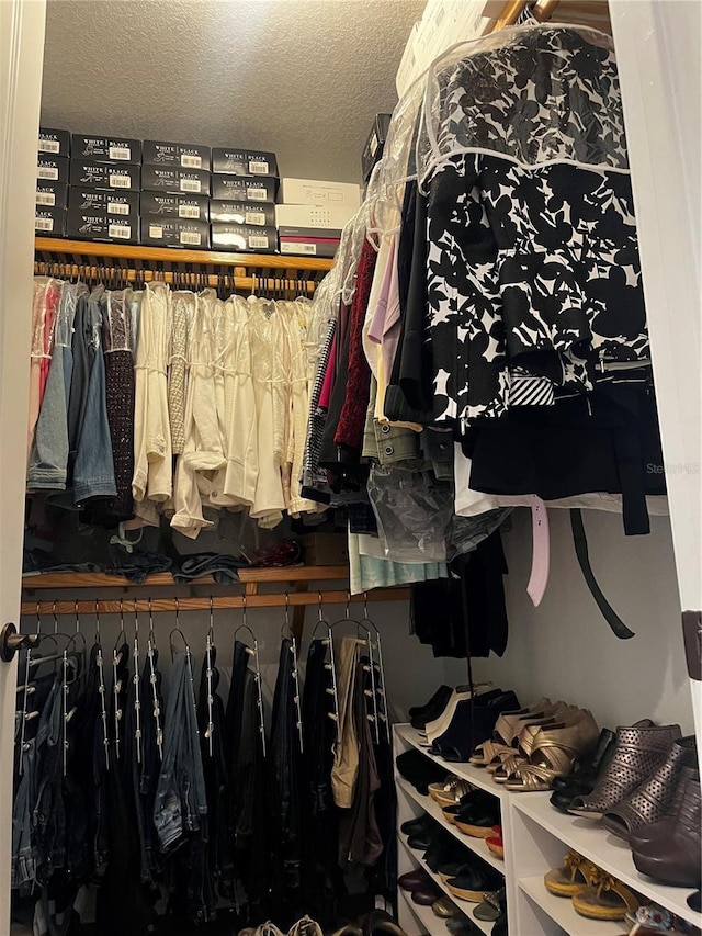 96 Vivante Blvd Unit 9622, Punta Gorda, FL 33950 - view of walk in closet