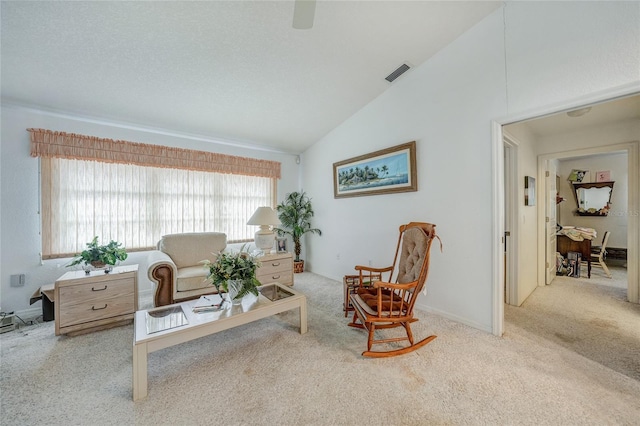 4055 Alwick Ln, North Port, FL 34287 - living area with carpet and vaulted ceiling