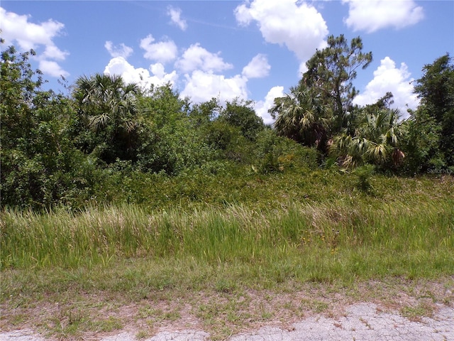Custer Cir, North Port, FL 34288 - photo 1