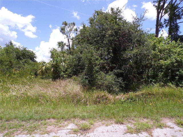 Custer Cir, North Port, FL 34288 - photo 2