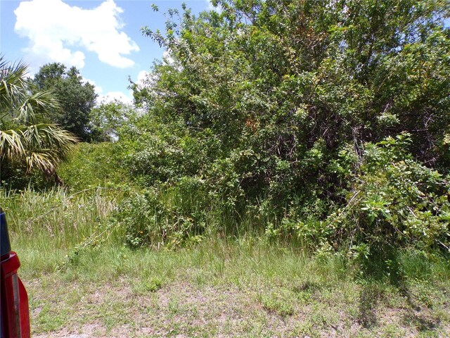 Custer Cir, North Port, FL 34288 - photo 5