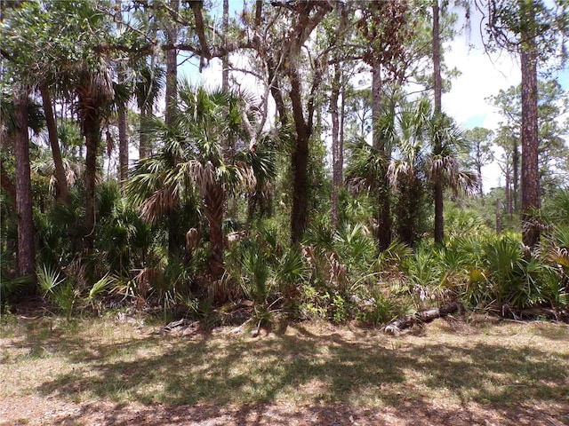 14018 Rider Ave, Port Charlotte, FL 33953 - photo 1