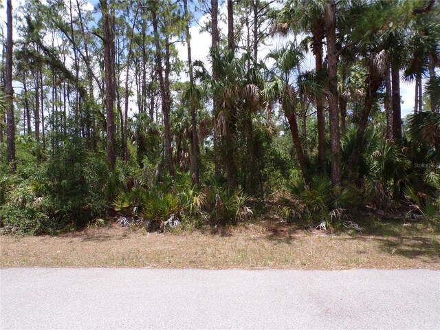 14018 Rider Ave, Port Charlotte, FL 33953 - photo 2