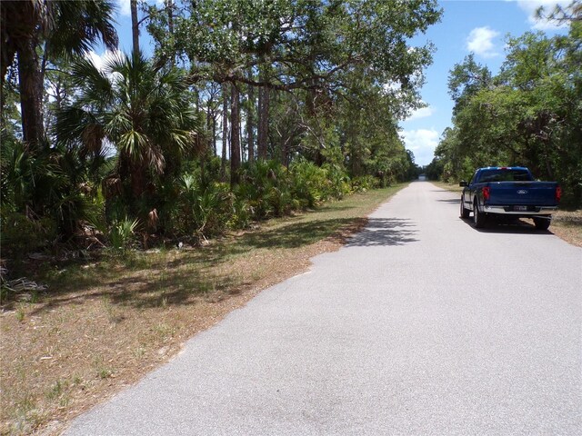 14018 Rider Ave, Port Charlotte, FL 33953 - photo 3
