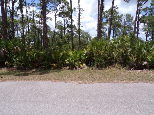 14018 Rider Ave, Port Charlotte, FL 33953 - photo 5