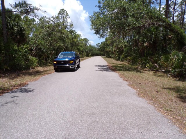 14018 Rider Ave, Port Charlotte, FL 33953 - photo 9