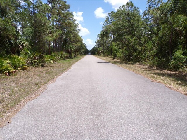 14018 Rider Ave, Port Charlotte, FL 33953 - photo 10