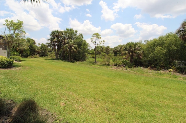 13256 Creekside Ln, Port Charlotte, FL 33953 - view of grassy yard
