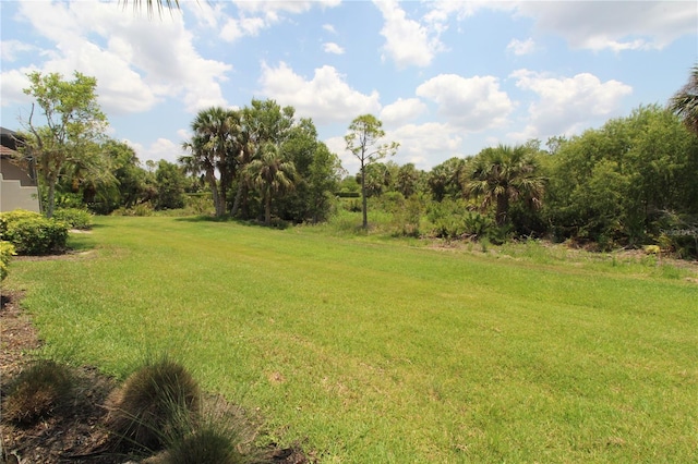 13256 Creekside Ln, Port Charlotte, FL 33953 - view of green lawn
