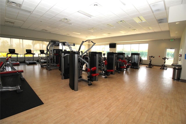 13256 Creekside Ln, Port Charlotte, FL 33953 - gym with wood finished floors and a drop ceiling